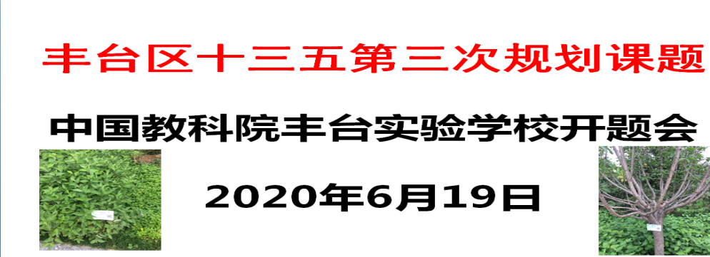 线上开题促教研，专家引领指方向 ——丰台...